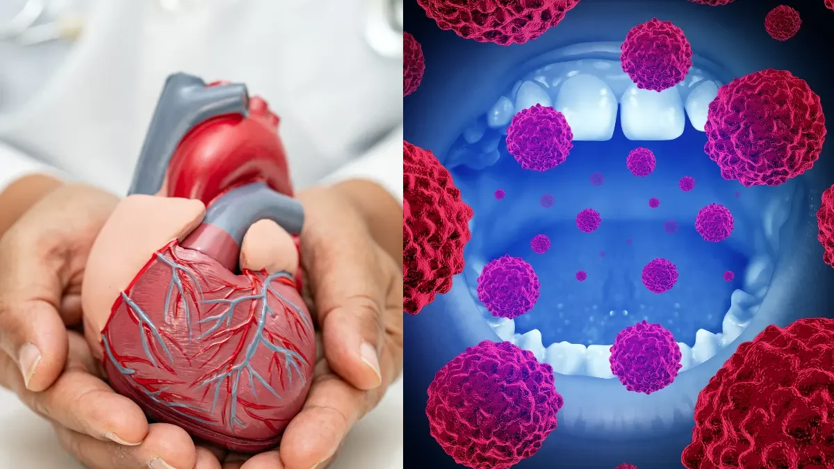 Can Poor Oral Health Lead to Heart Disease? Here’s What Dentists Want You to Know