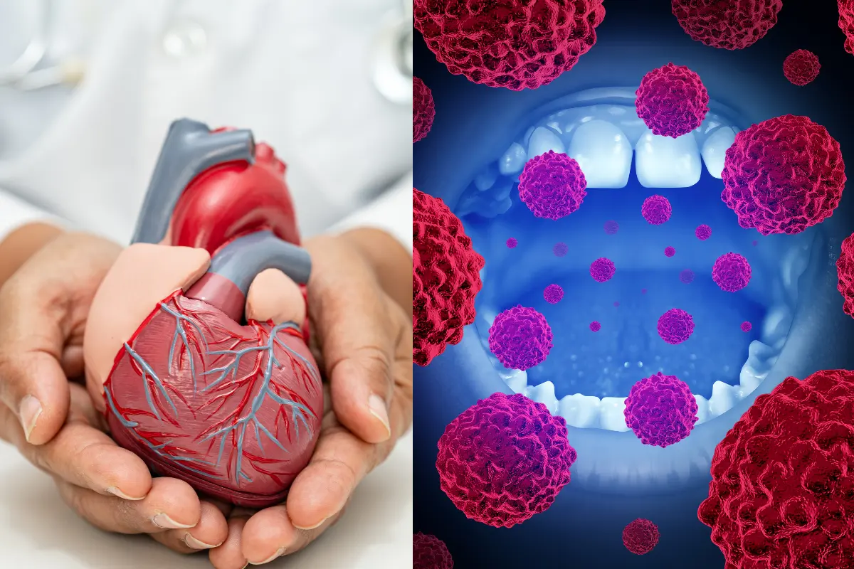 Can Poor Oral Health Lead to Heart Disease? Here’s What Dentists Want You to Know